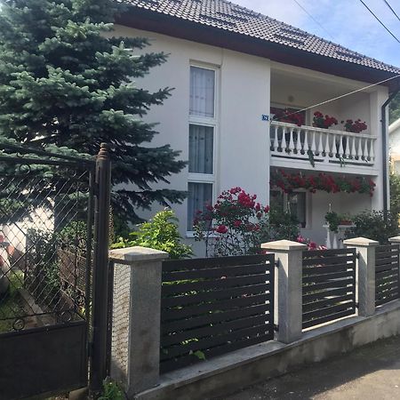 Pensiunea Grapini Sant Exterior foto